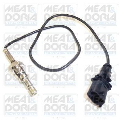 Sensor, exhaust gas temperature